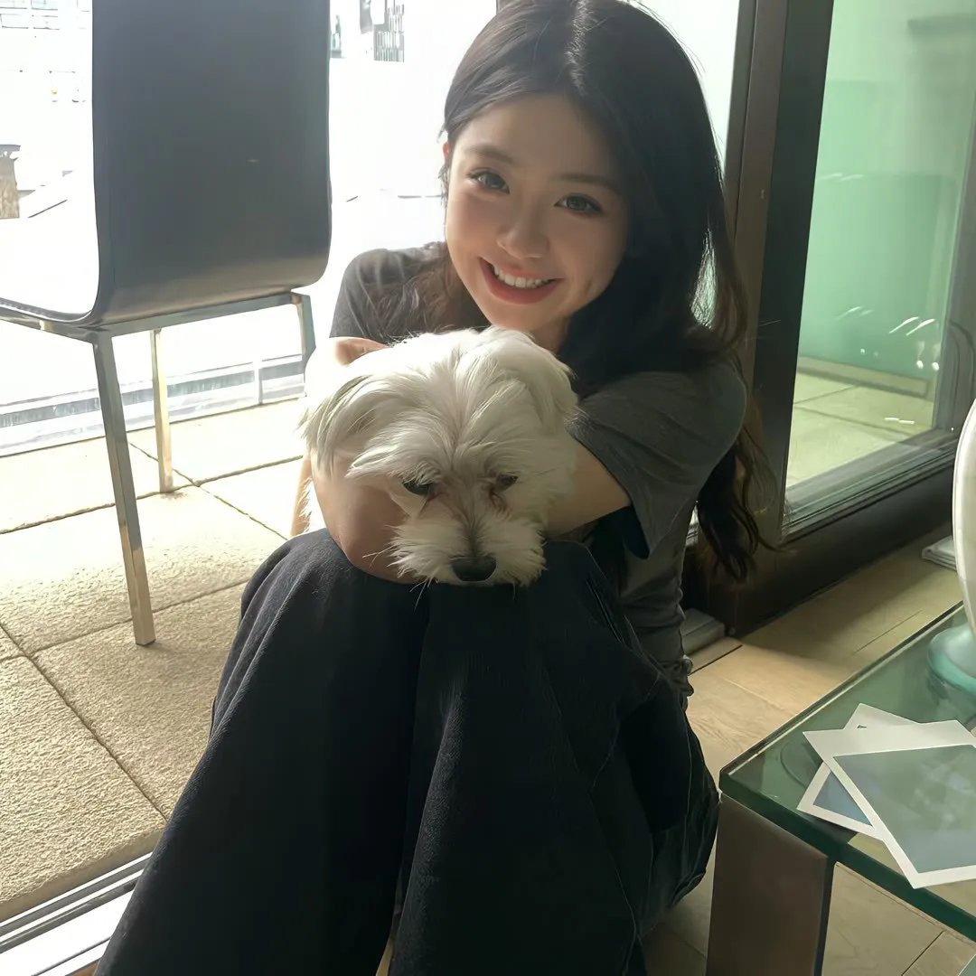 说走就走之不说再见